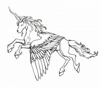 Winged Unicorn